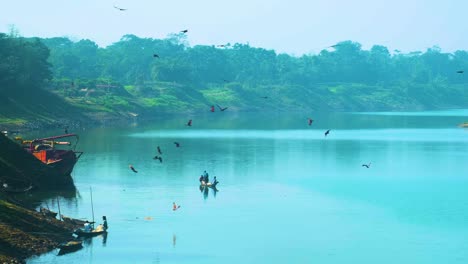 eagles flying and catching fish in river around fishing canoe boats, bangladesh