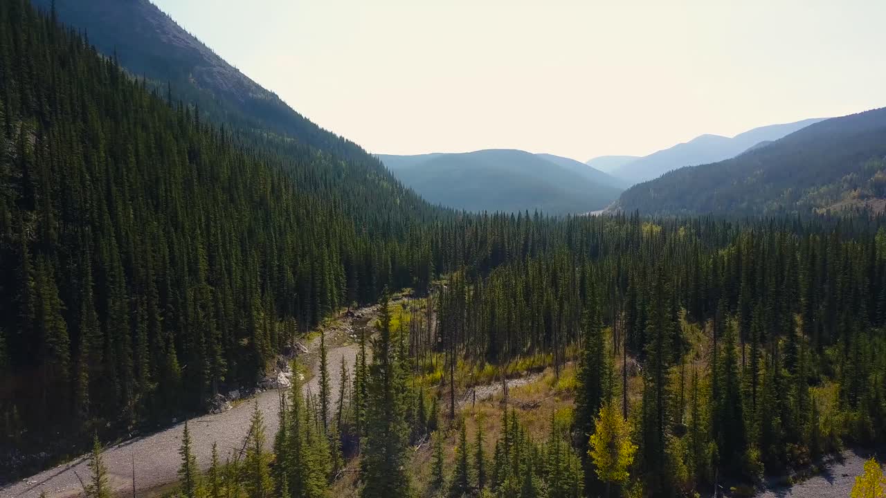 plano diurno aéreo medio ancho moviéndose a la derecha y girando a la izquierda mostrando un rápido río empinado que fluye a través de un bosque de pinos otoñales por un valle entre picos de montañas rocosas en alberta, canadá