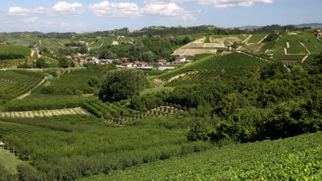 panoramic panning vineyards in roero piedmont italy summer day