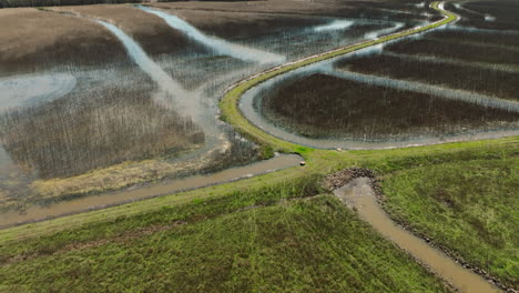 winding river through bell slough wildlife area, arkansas, during the day, aerial view