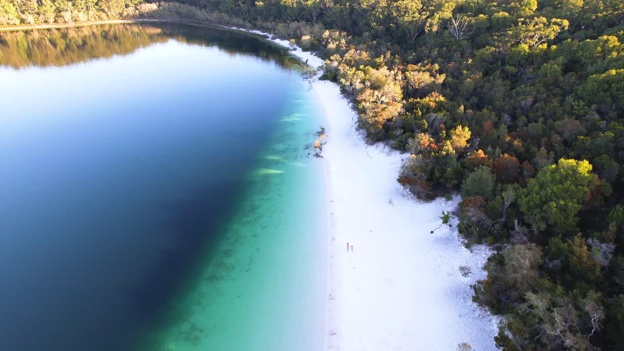4K-dronevideo pariskunnasta juoksemassa valkoisella silikonihiekkarannalla McKenzie-järvellä Fraserinsaarella, Australiassa