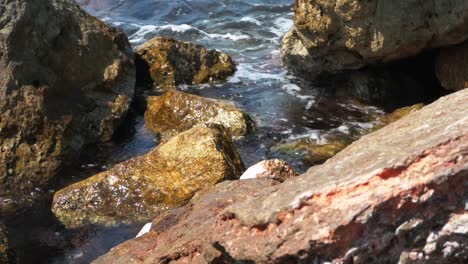 En-Una-Orilla-Rocosa-Del-Mar