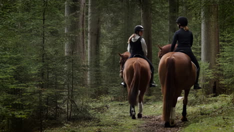 two women horse riding through a peaceful forest path
