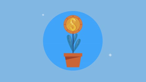 financial business animation with plant coins