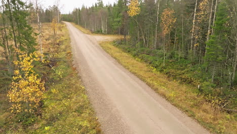 Sweden---A-Dirt-Path-Through-a-Forest-of-Fir-and-Birch-Trees-on-a-Cloudy-October-Day-with-Autumn-Colors---Aerial-Drone-Shot