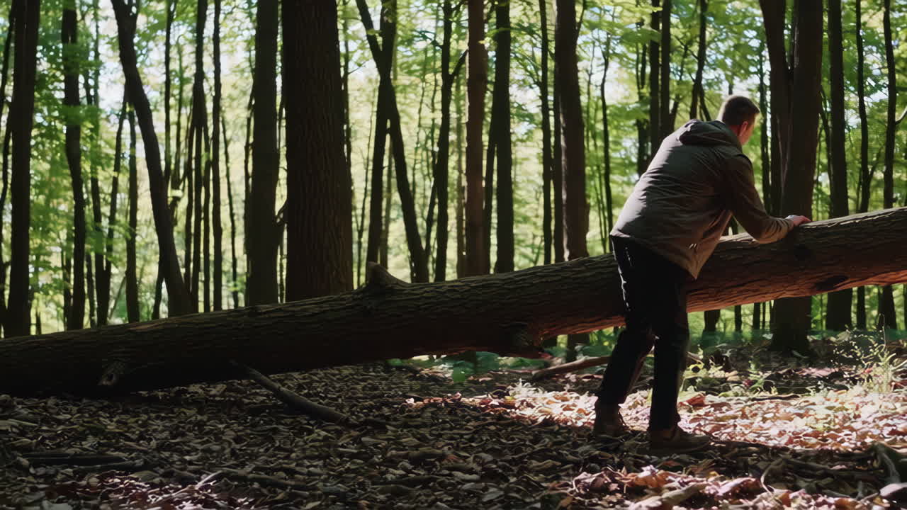 Man pushing a fallen tree in the forest