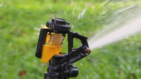 water sprinkler in action