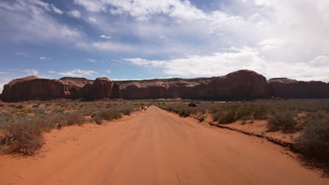 Wild-horses-in-desert-walking-down-the-dirt-road-in-the-rugged-remote-landscape