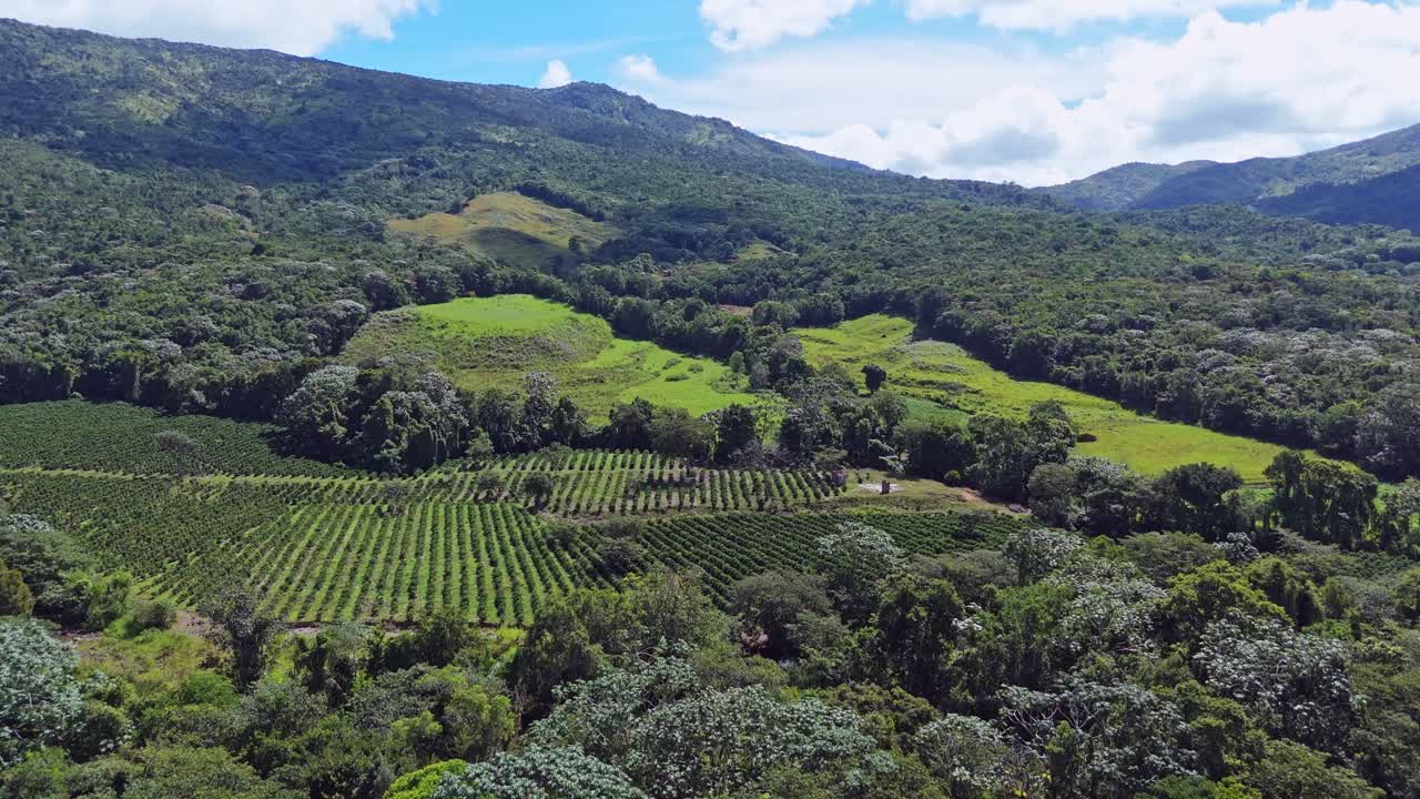 Coffee farms at Rancho Arriba in San José de Ocoa province, Dominican Republic. Aerial forward and panoramic view