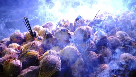 coconuts for smash during thaipusam celebration.