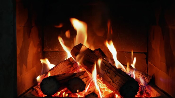 Cozy Fireplace with Burning Wood