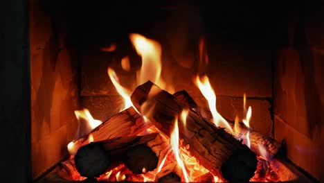 cozy fireplace with burning wood