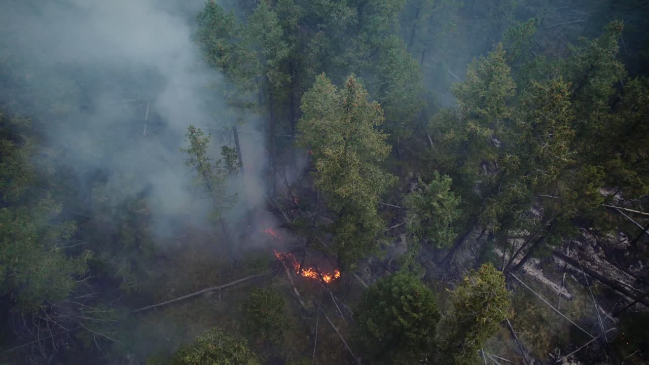 Veduta ravvicinata di un incendio boschivo, fiamme che si propagano