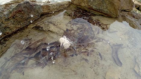 cork plug falling in slow motion into a pool of salt water on the rocks of the coast