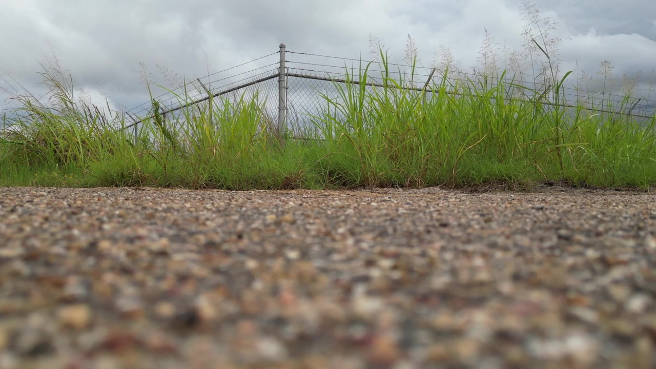 A dramatic ground-level view captures tall green grass swaying in the wind beneath a chain-link security fence topped with barbed wire while dark overcast clouds gather overhead.