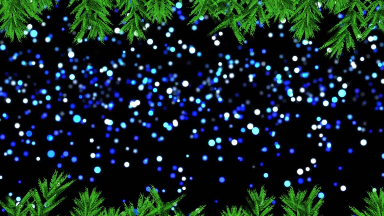 검은색 배경에 빛나는 반점과 소나무 가지의 애니메이션