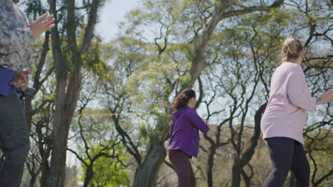 women practicing tai chi in a park