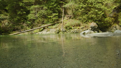 Crystal-clear-serene-waters-of-Lynn-Creek,-Lynn-Canyon-Park