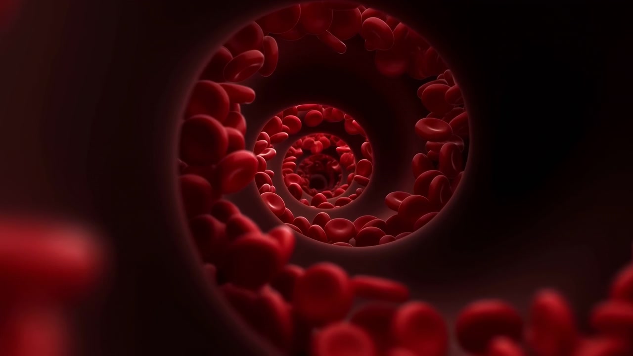 Close-up view inside a dark tubular vessel with red blood cells floating and drifting through a curved passage, creating a spiral sense of depth and organic