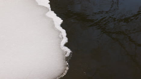 Lago-En-La-Naturaleza