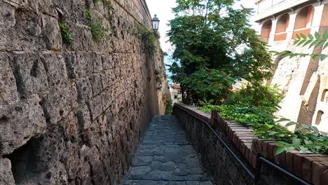 a narrow stone pathway with lush greenery