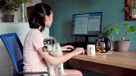 asian woman working on computer with dog at home