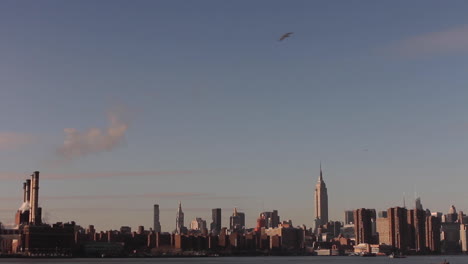 Manhattan-Nyc-Skyline-Geschossen-Von-Der-Anderen-Seite-Des-Flusses-In-Brooklyn,-Blauer-Himmel,-Vögel,-Die-Vorbeifliegen,-Reichsstaat