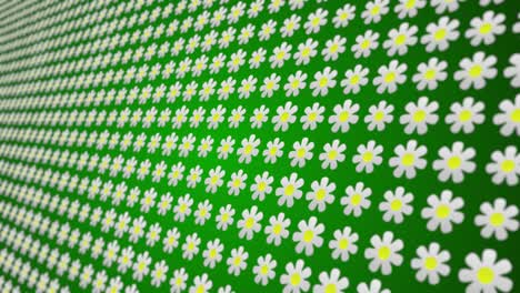 flowers pattern close up animated background