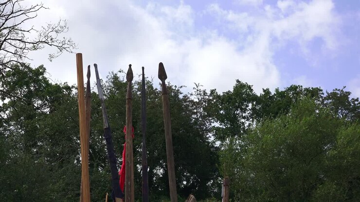 Lance da battaglia di ogni tipo di una rievocazione vichinga in mostra a Waterford, Irlanda