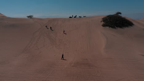 huacachina, perú, desierto, drone aéreo