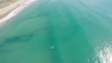 Drohnenaufnahme-Aus-Der-Luft,-Die-Mehrere-Surfer-Zeigt,-Die-Darauf-Warten,-Eine-Welle-Zu-Erwischen