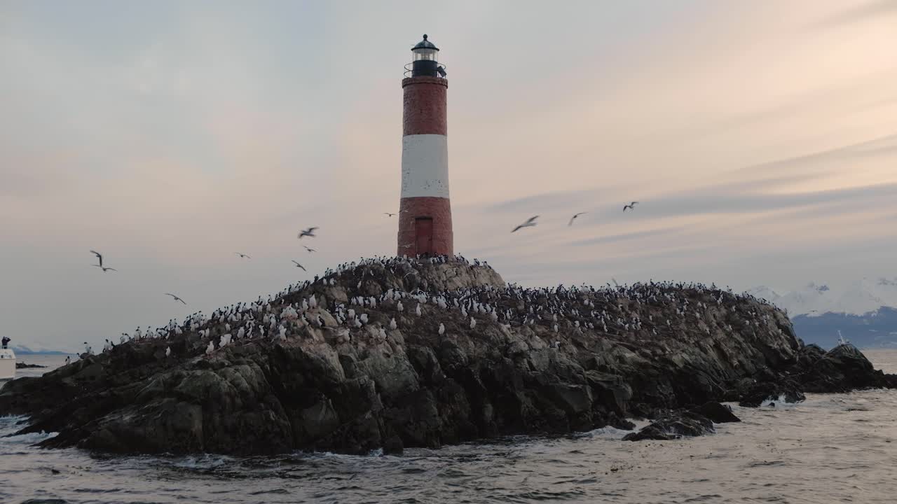 Les Eclaireurs lighthouse surrounded by a large colony of cormorants at sunset