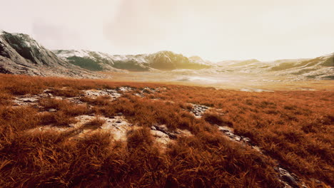 dry-grass-fields-and-mountains-in-Nepal