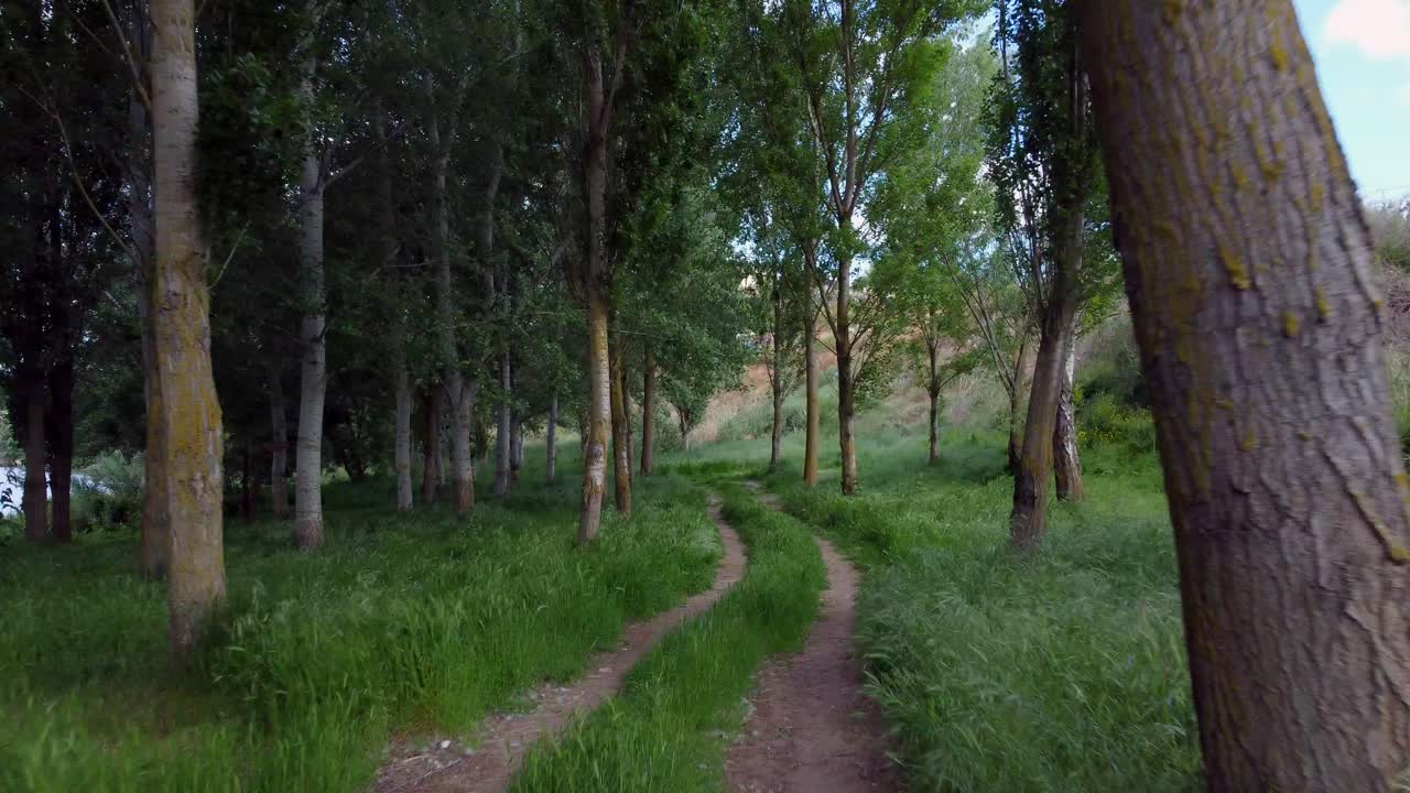 무인 항공기보기에서 강둑과 숲