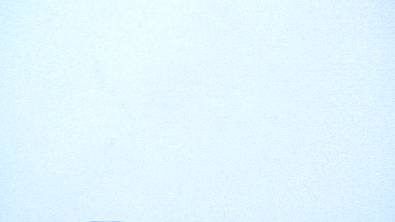 푸른 녹조류의 사슬을 포함하는 자루 또는 거품의 현미경 보기