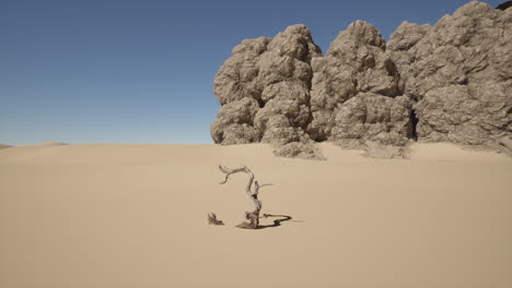 dead tree in a desert landscape