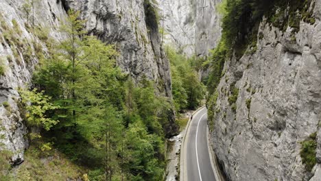 cars driving on narrow road through towering cliffs and lush greenery