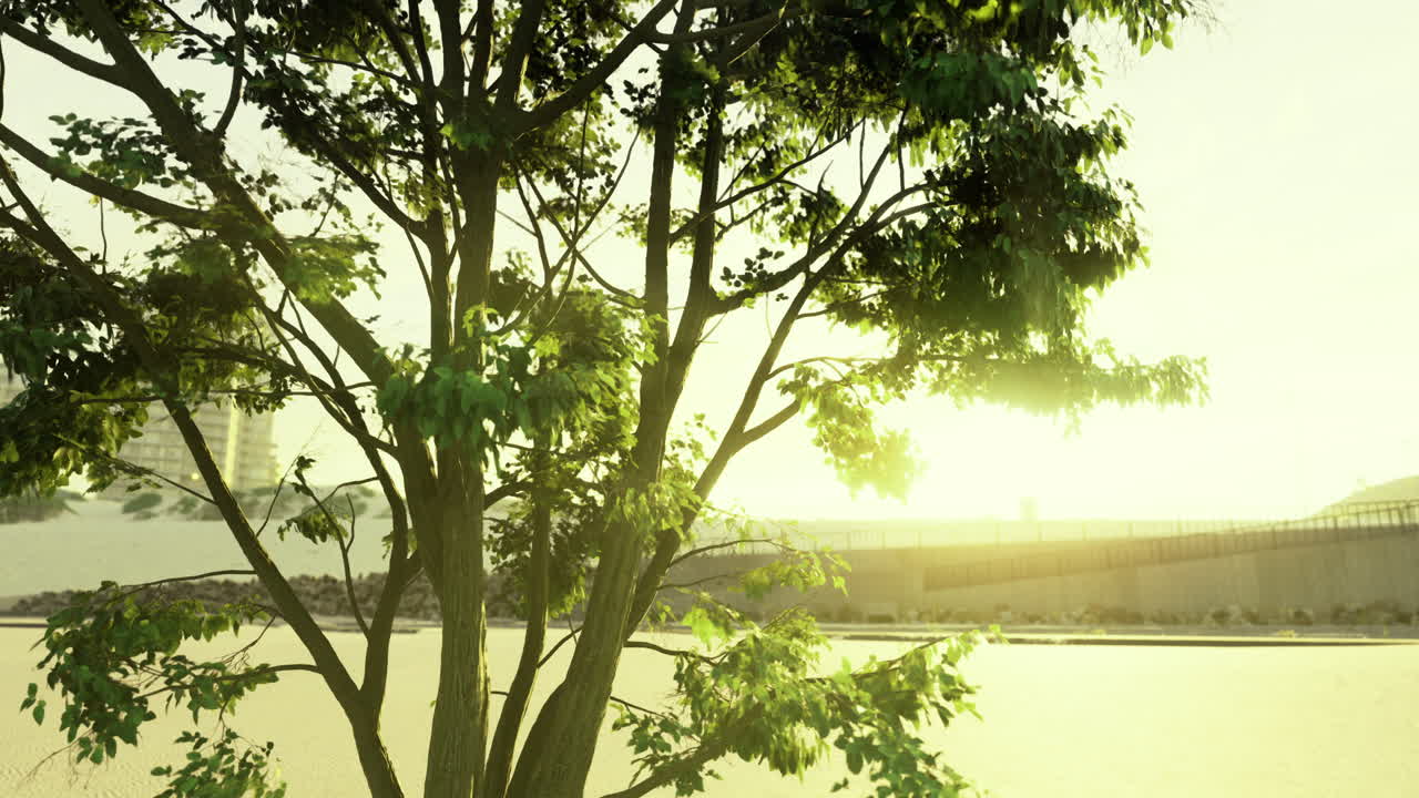 Sunlight filters through leaves near peaceful riverbank at sunset