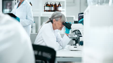 scientist working in a laboratory with a microscope
