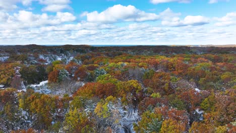 Eine-Waagerechte-Antenne,-Die-Still-über-Den-Baumwipfeln-Im-Herbst-Steht