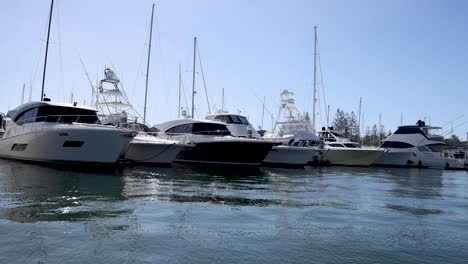 yachts and boats docked in a serene harbour