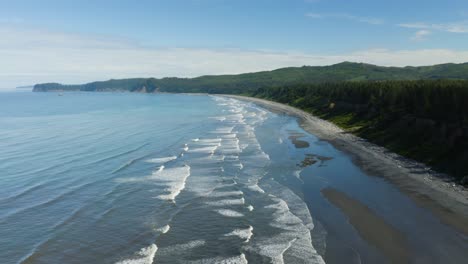 Lush-Green-Forest-Meets-Blue-Ocean-on-Summer-Afternoon,-Birds-Eye-View