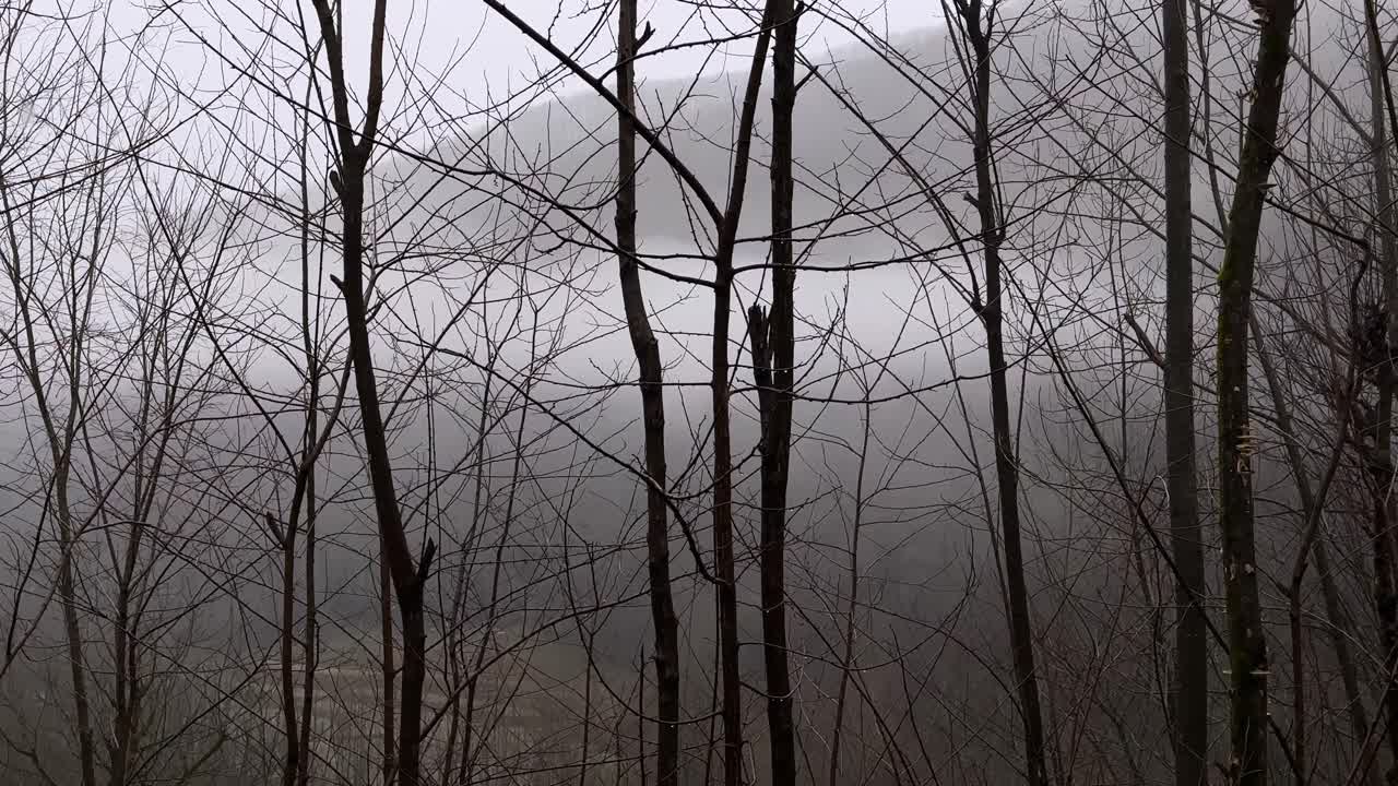 heavy rain in woods forest cloud hyrcanian nature landscape tree mountain village rural countryside background fresh green highlands jungle lush mist natural outdoor park rainforest scenic tropical