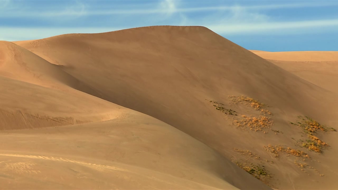 Grande duna di sabbia dorata con dolci crinali e vegetazione rada sotto un cielo blu nel Parco Nazionale Great Sand Dunes, USA