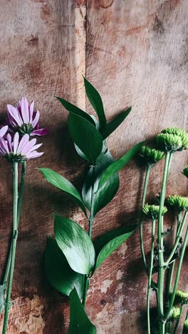 beautiful purple and green flowers on wooden background