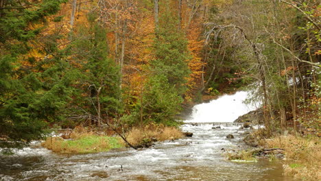 Hermosa-Cascada-En-Un-Bosque-De-Otoño-En-Canadá