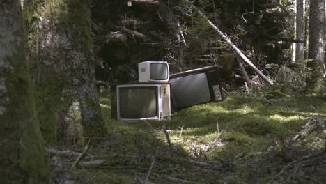viejo televisor en medio del bosque