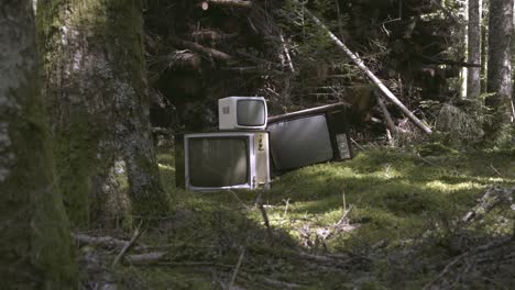 old television in the middle of the forest