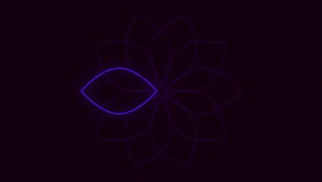 Purple-summer-neon-leafs-in-circle