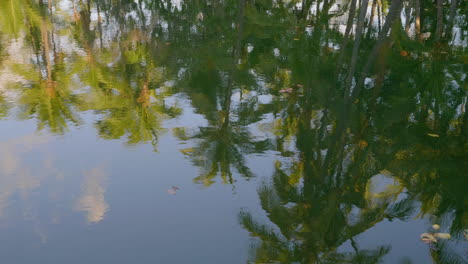 mauna lani fish ponds reflections, hawaii mauna lani